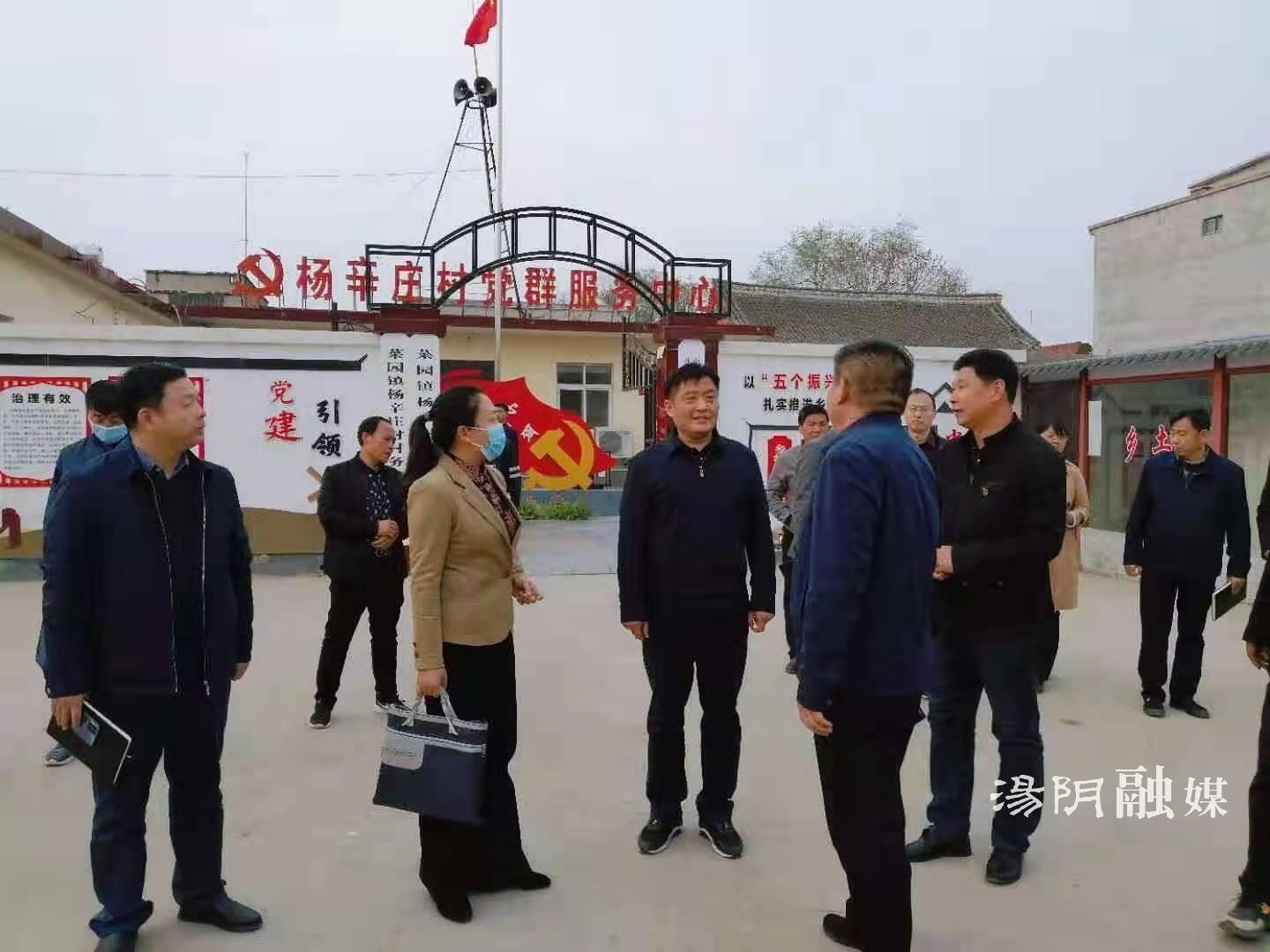 宋庆林调研汤阴乡村振兴工作